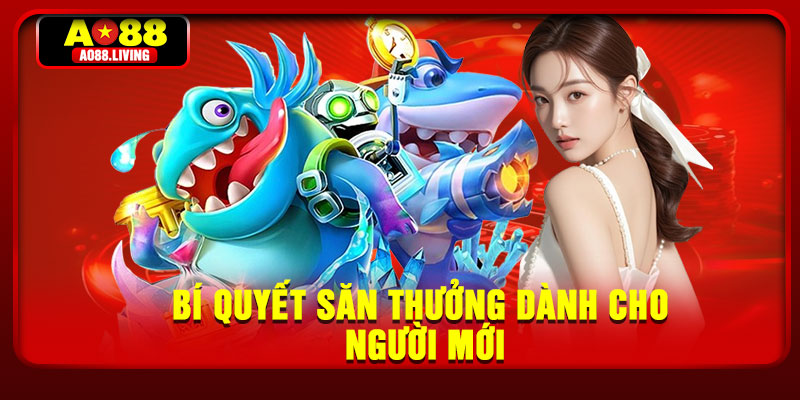 Bí quyết săn thưởng dành cho người mới
