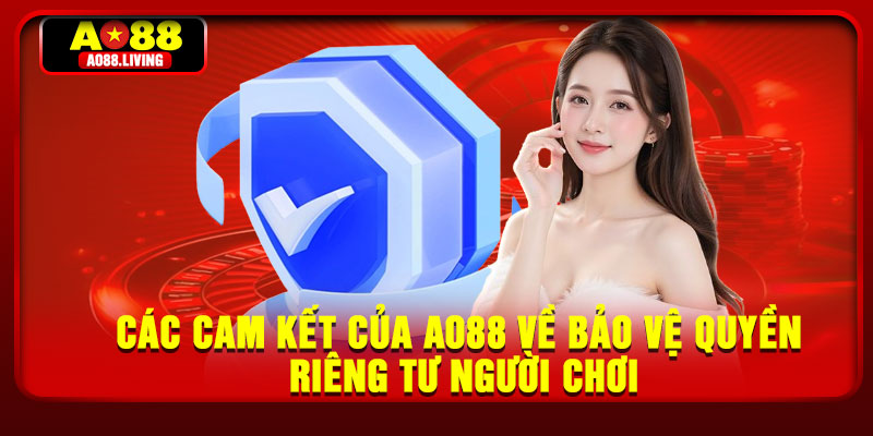 Các cam kết của AO88 về bảo vệ quyền riêng tư người chơi