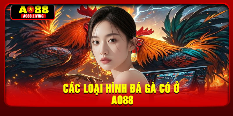 Các loại hình đá gà có ở AO88