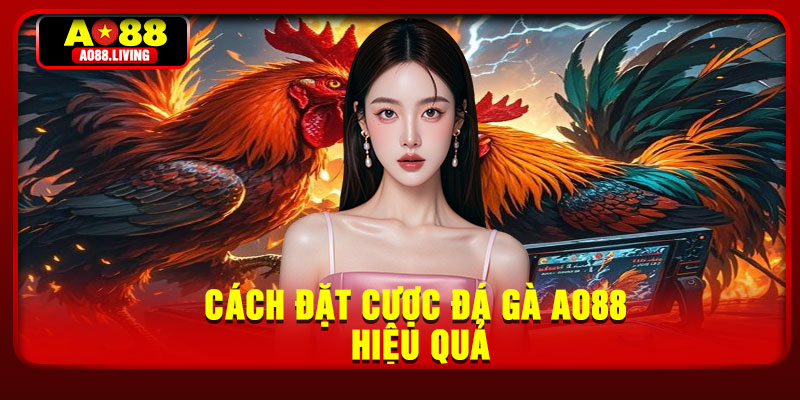 Cách đặt cược đá gà AO88 hiệu quả