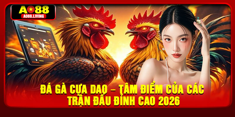 Da Ga Cua Dao – Tam Diem Cua Cac Tran Dau Dinh Cao 2026