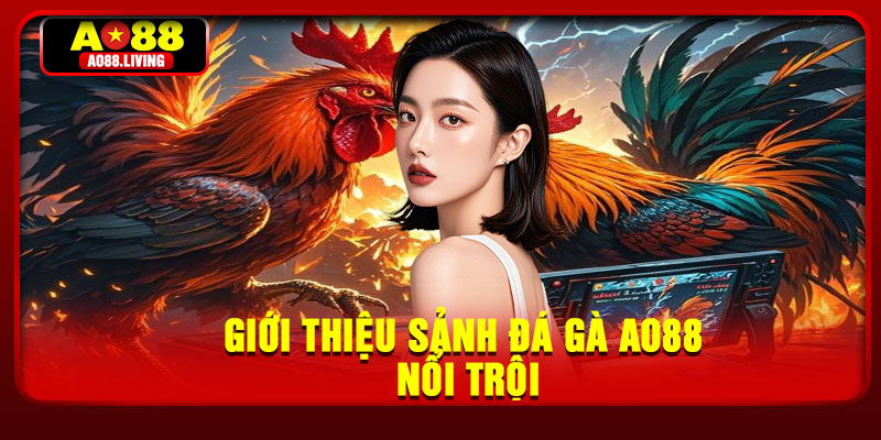 Giới thiệu sảnh đá gà ao88 nổi trội