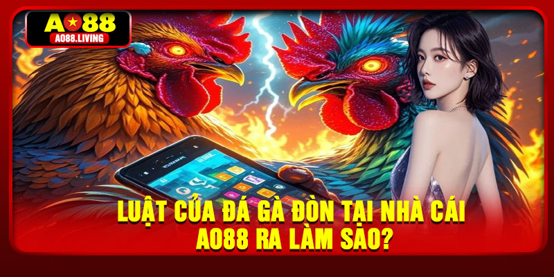 Luật của đá gà đòn tại nhà cái AO88 ra làm sao?