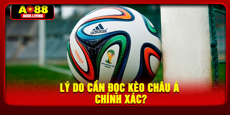Lý do cần đọc kèo châu Á chính xác?