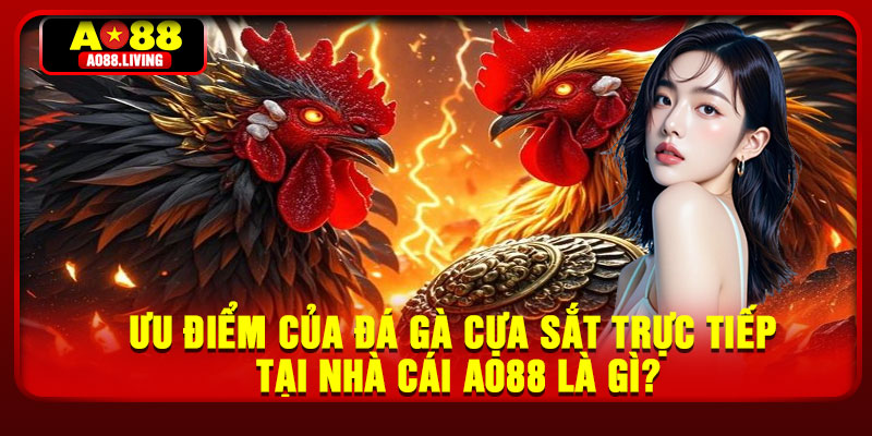 Ưu điểm của đá gà cựa sắt trực tiếp tại nhà cái AO88 là gì?