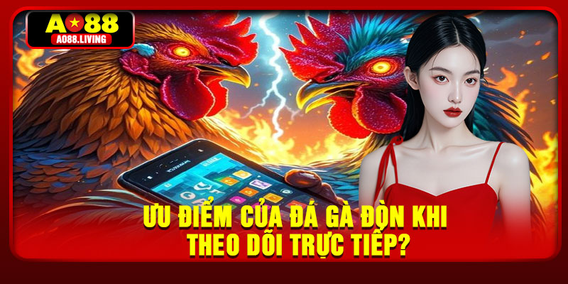 Ưu điểm của đá gà đòn khi theo dõi trực tiếp?